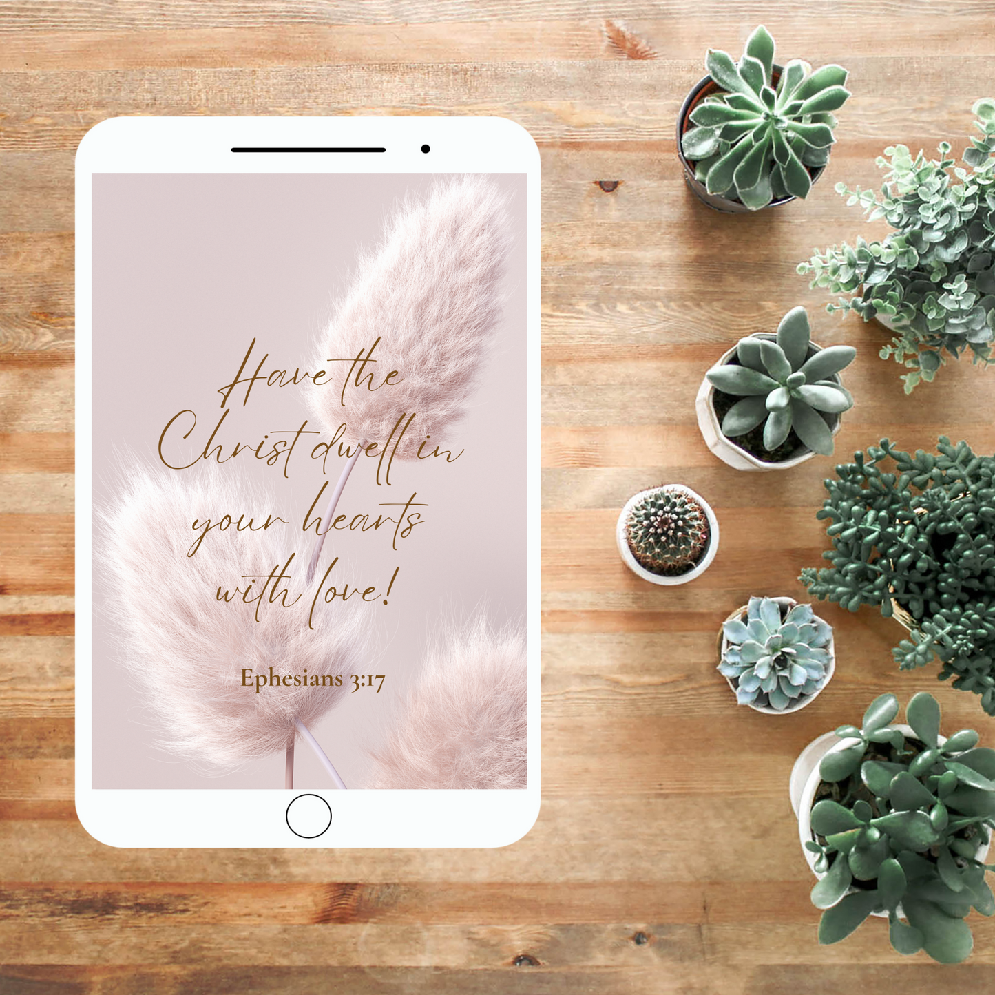 Ephesians 3:17 | Pink Pampas Boho | JW Bible Verse Phone Wallpaper