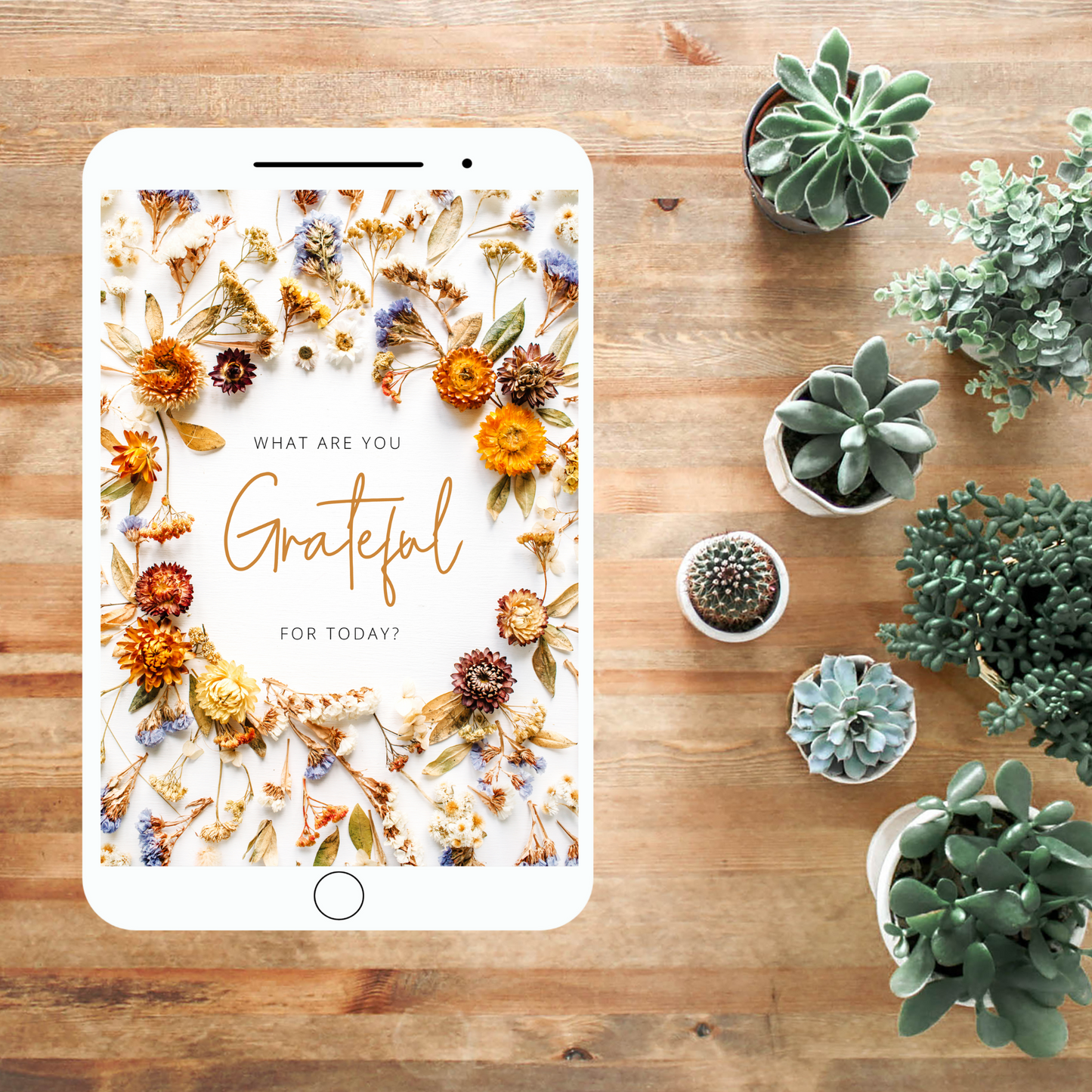 Freebie Gratitude Quote Wallpaper | JW Gift | Paper Flowers